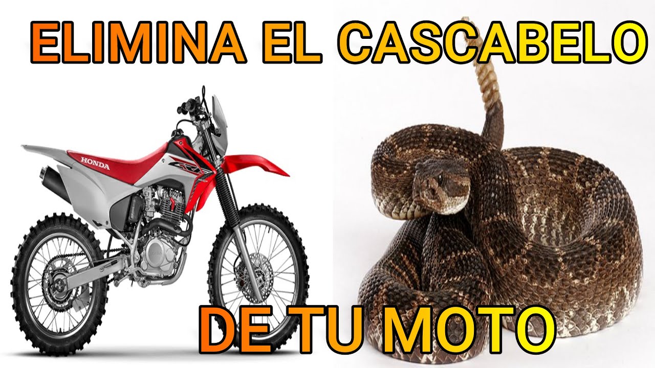 Como Eliminar El Cascabeleo Del Motor De Una Moto: Soluci&oacute;n