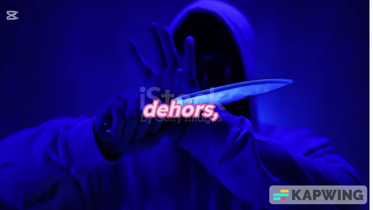 CHARLINIHO _ TRISTE VIE LYRICS VIDÉO 