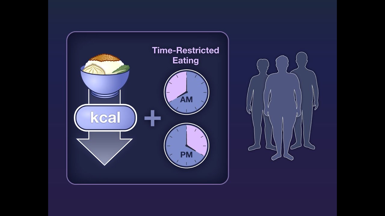 Time-Restricted Eating in Weight Loss | NEJM