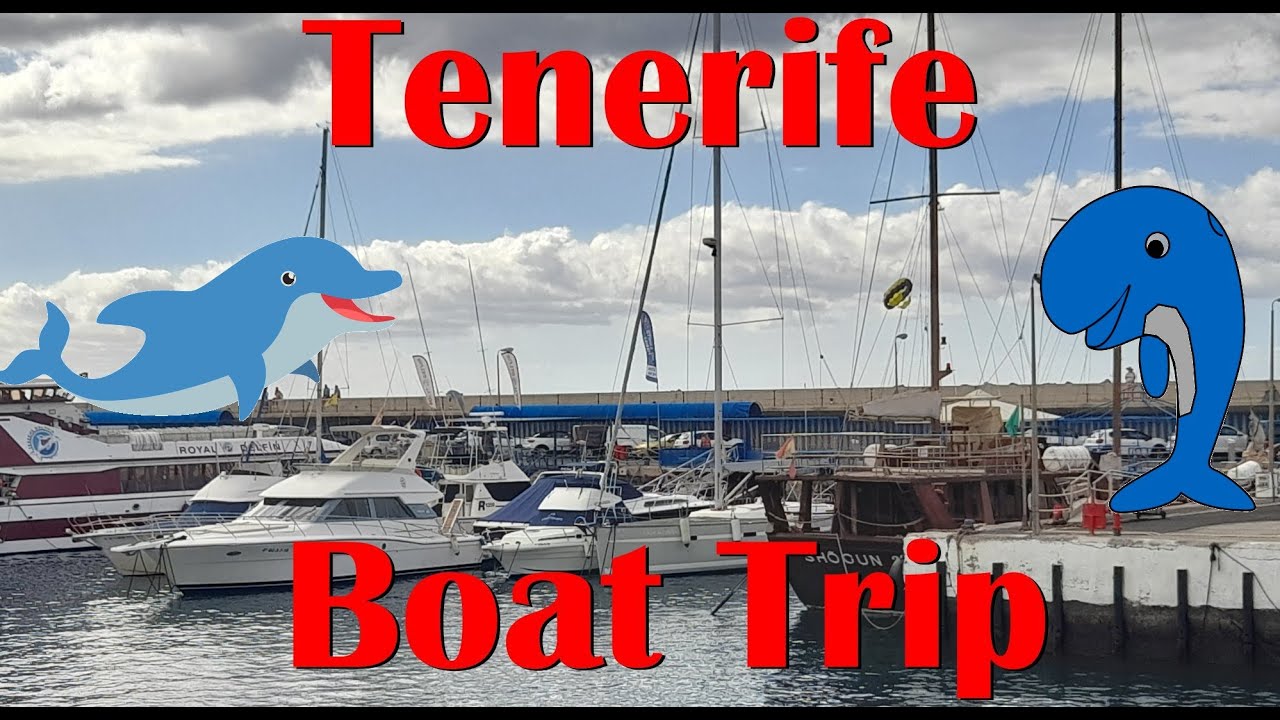Boat Trip in Las Americas Tenerife Jan 2023 to see Dolphins and Whales