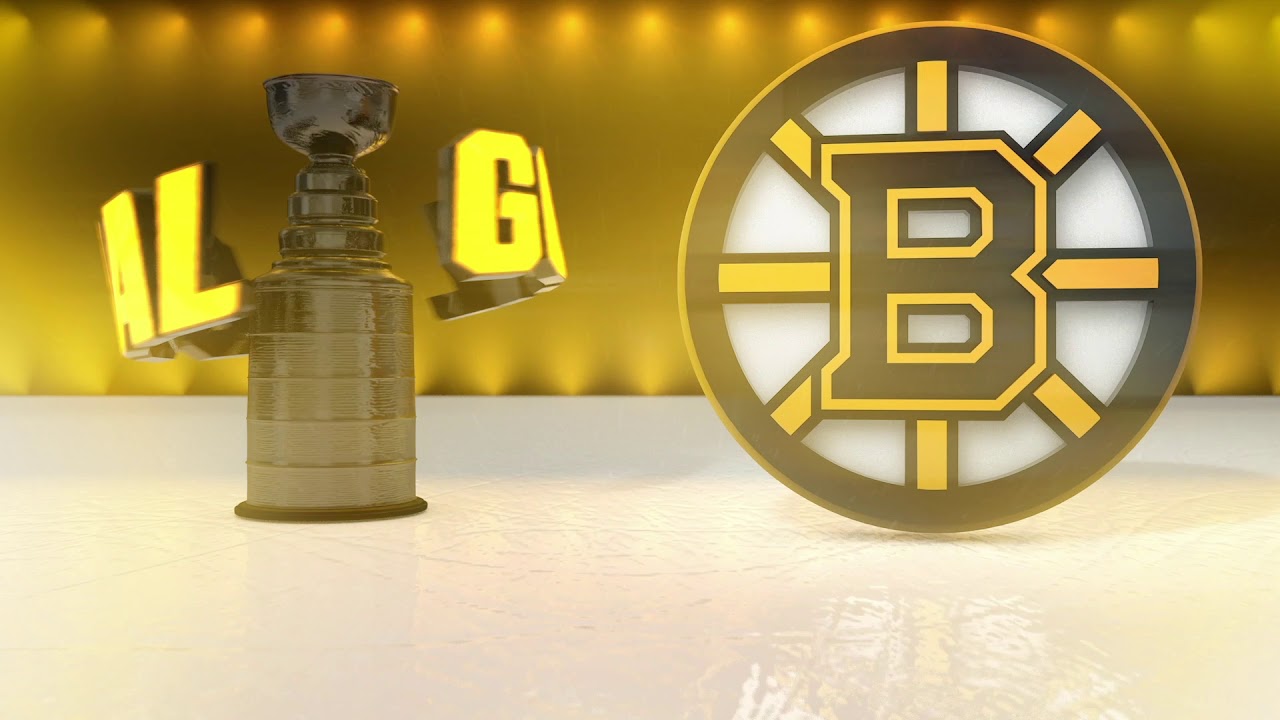Boston Bruins 2019 Playoff Goal Horn