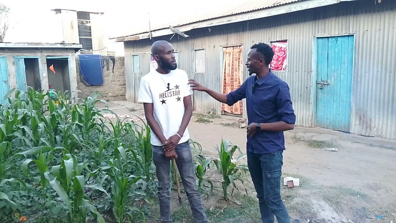 steve mosquito nikichoma bidhaa za uchokoraa angalia na support guys