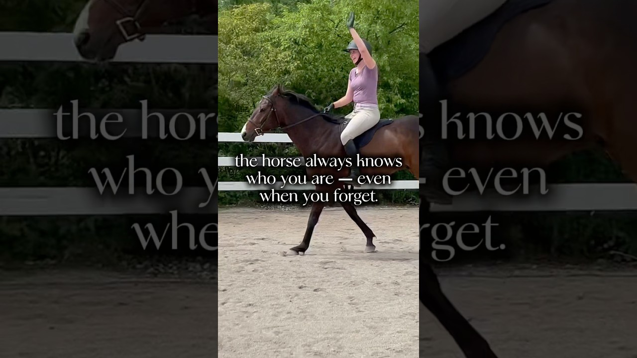 even with no words he knows me the best #horse #equestrian #ottb #relatable #blowup #fyp