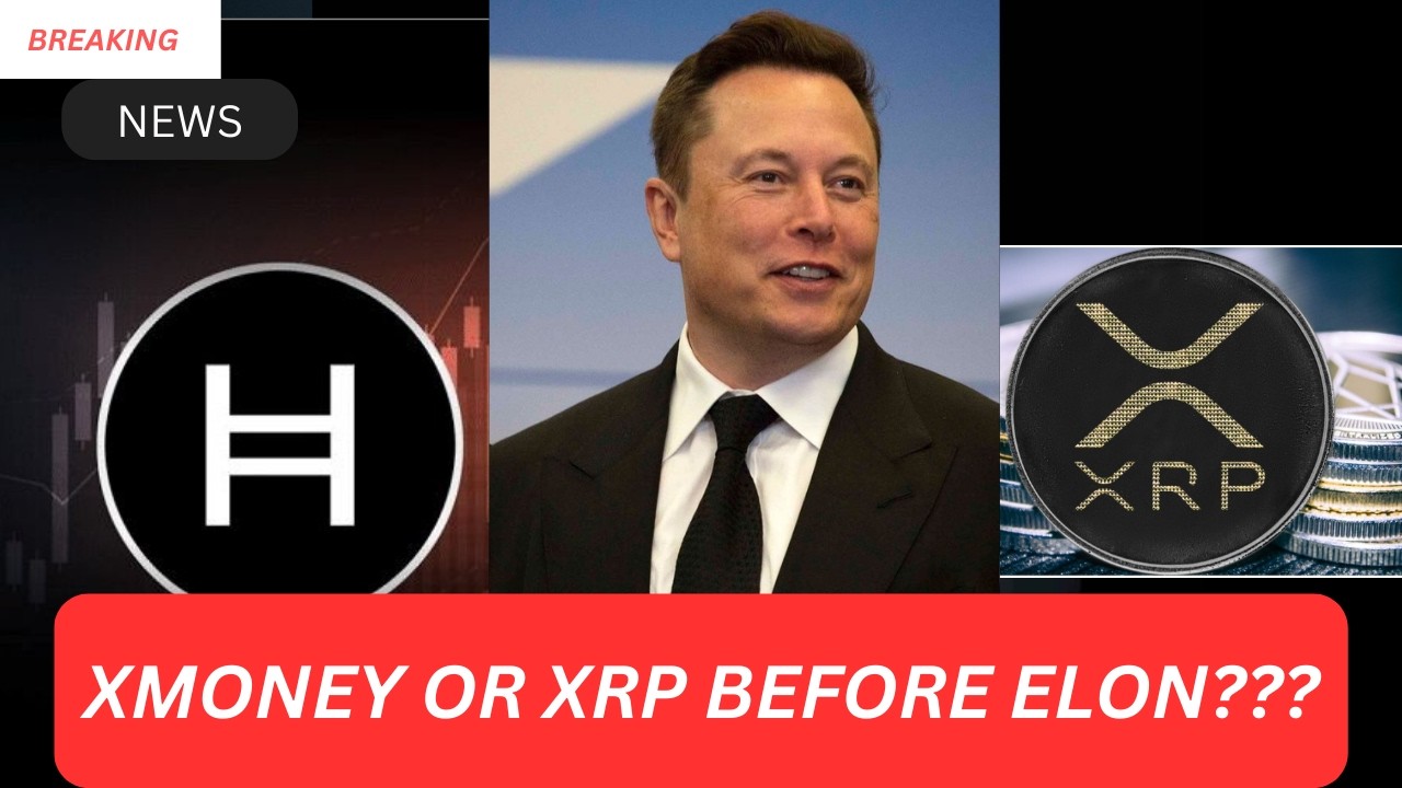BREAKING: TODAY XMoney  on Elon Musk That Explains XMN Explodes to $15M Market Cap. HOW? FIND OUT !🔥