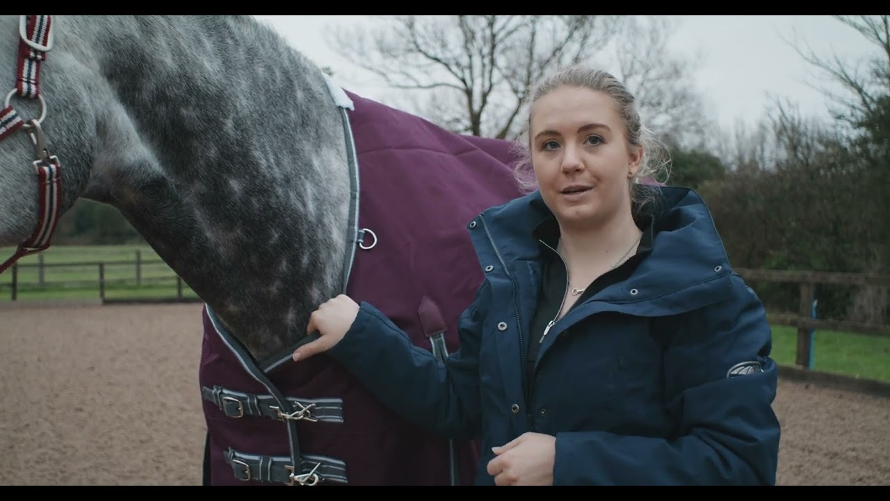 Horse rug fitting guide