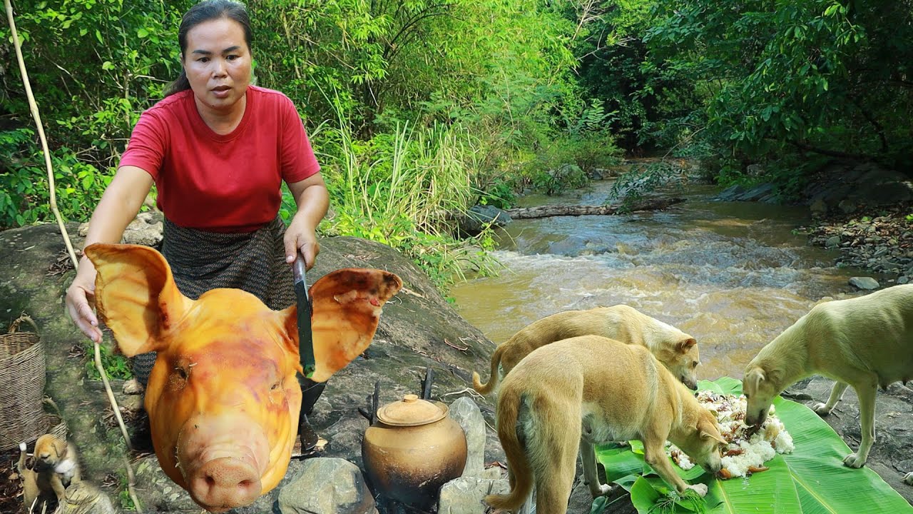 survival in the rainforest-found head pig with mushroom for cook & give to pets HD