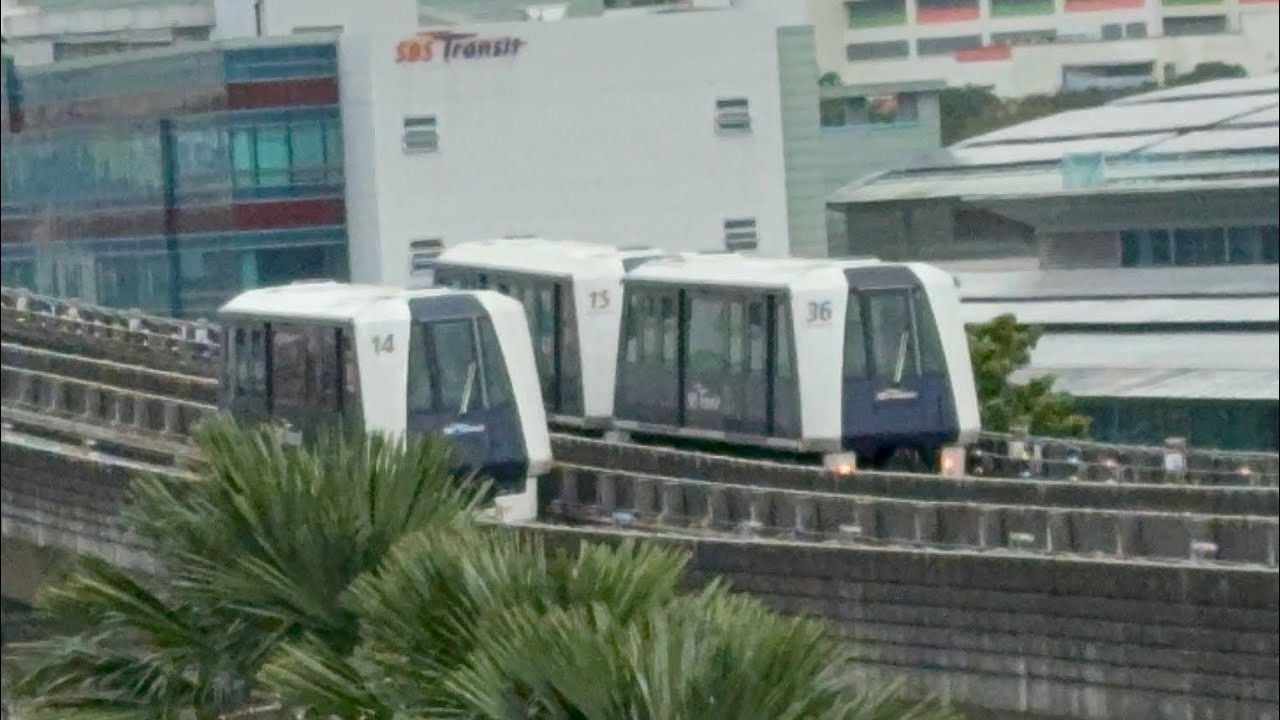 Mitsubishi Electric Crystal Movers C810 [V15-V36] joyride from (SW7) Tongkang➡️Fernvale (SW5)