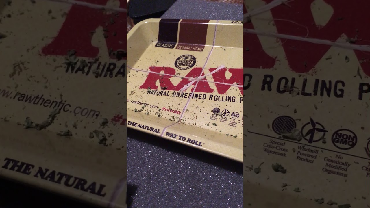 Unboxing King palm berry terps 2 minis pre rolls