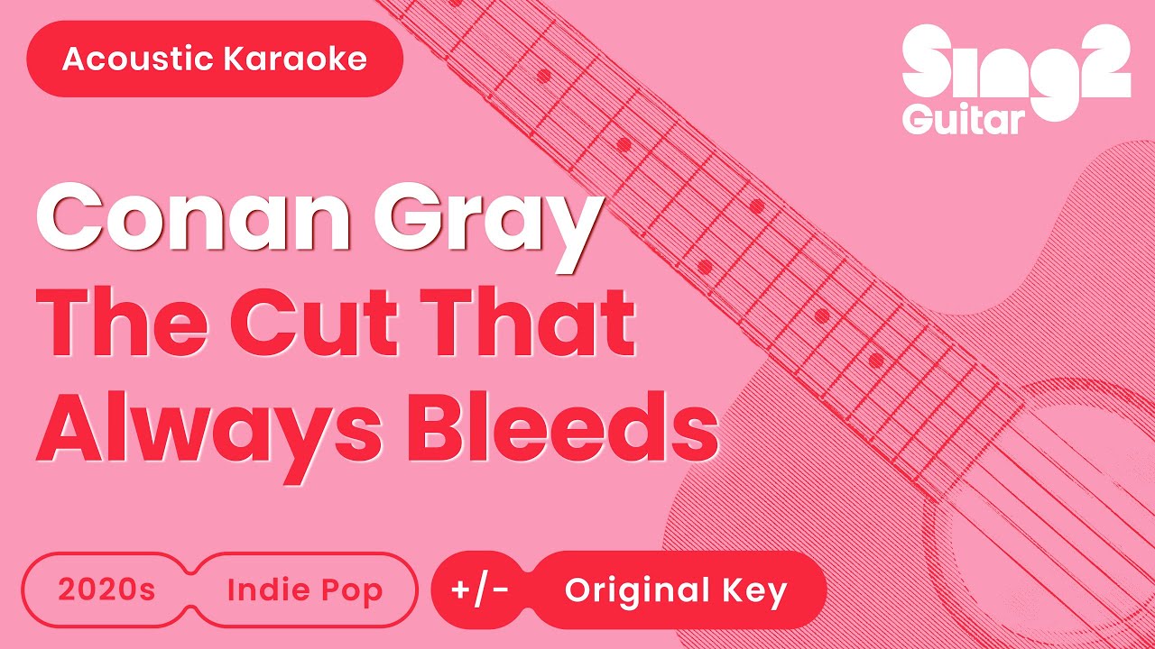 Conan Gray - The Cut That Always Bleeds (Acoustic Karaoke)