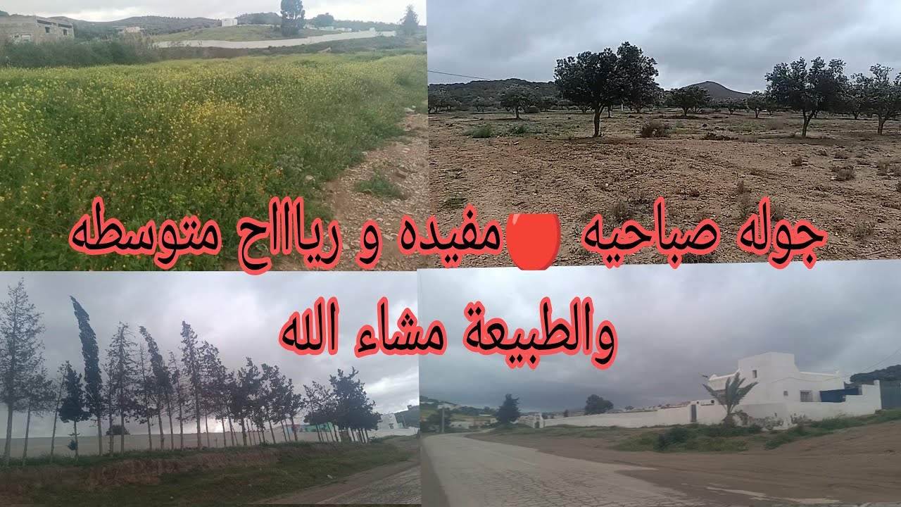 جوله صباحيه 🔴مفيده و رياااح متوسطه والطبيعة مشاء الله 