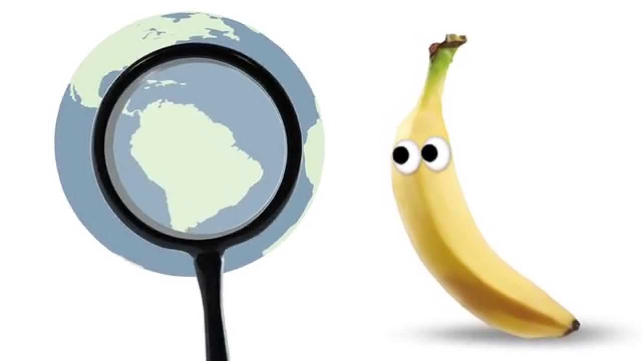 Freche Freunde aus aller Welt: Bob Banane aus Südamerika