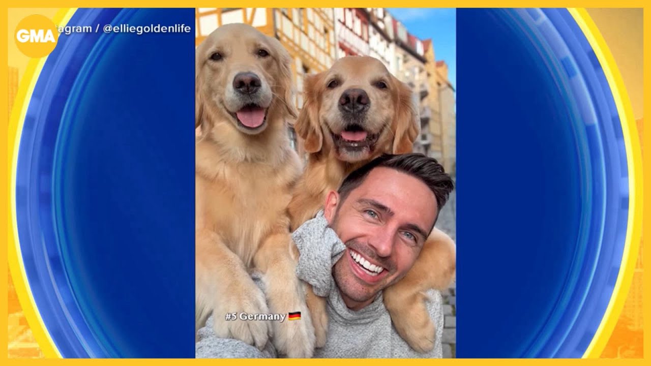 Golden selfies