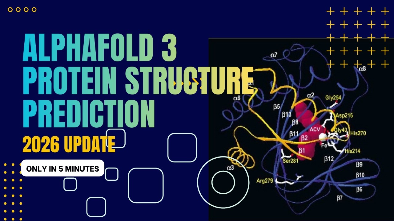 AlphaFold 3 Protein Structure Prediction: 2026 Updated Step-by-Step Guide