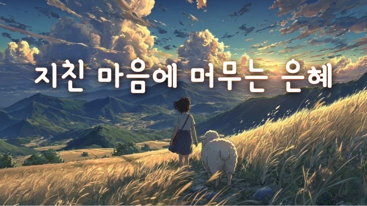 CCM ｜ 지친 마음을 쉬게 하시는 주님의 은혜 🌿 ｜ 평안이 머무는 잔잔한 찬양 🎵