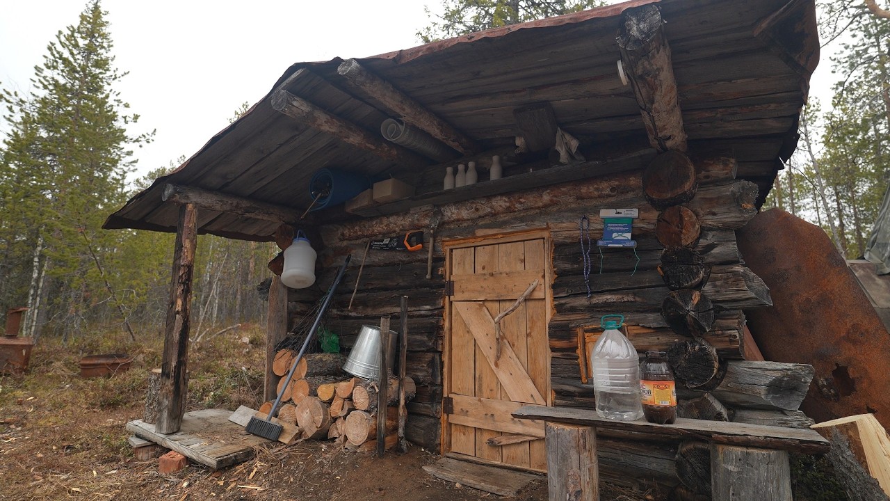 Pike's wild feeding frenzy. My life in an old hut. Black grouse mating ground.