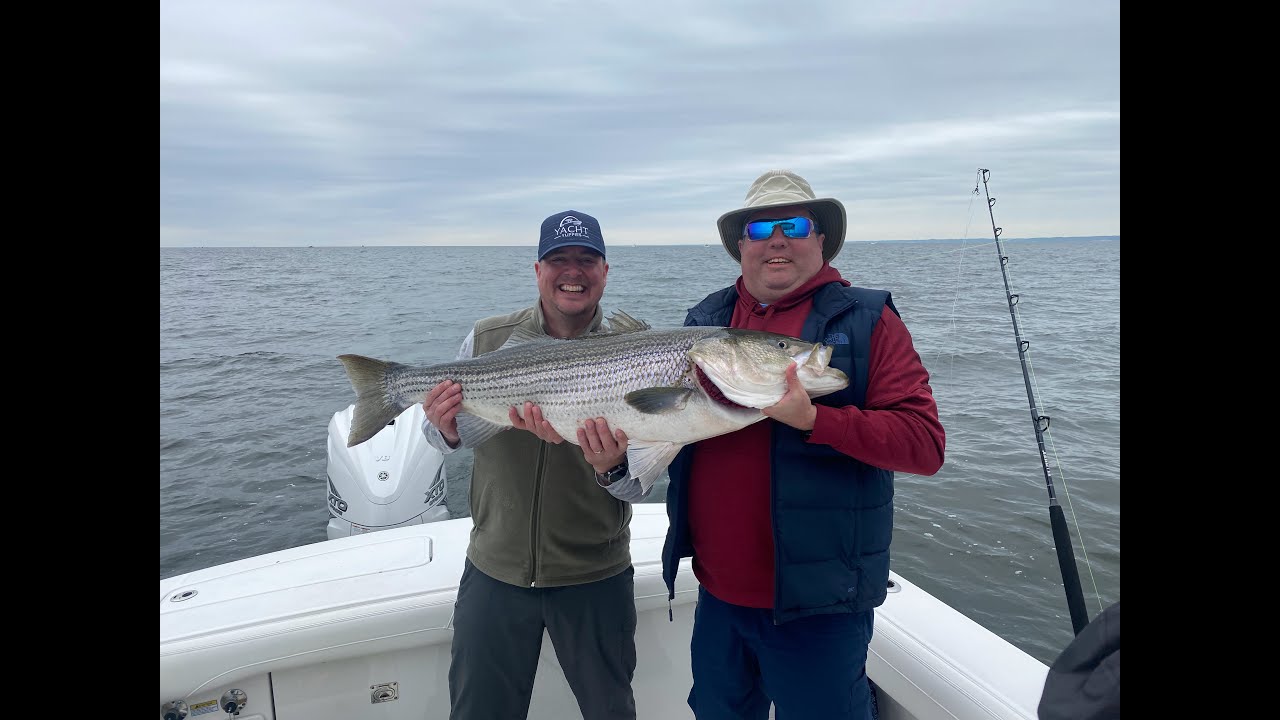 Yacht Yuppies First Trophy