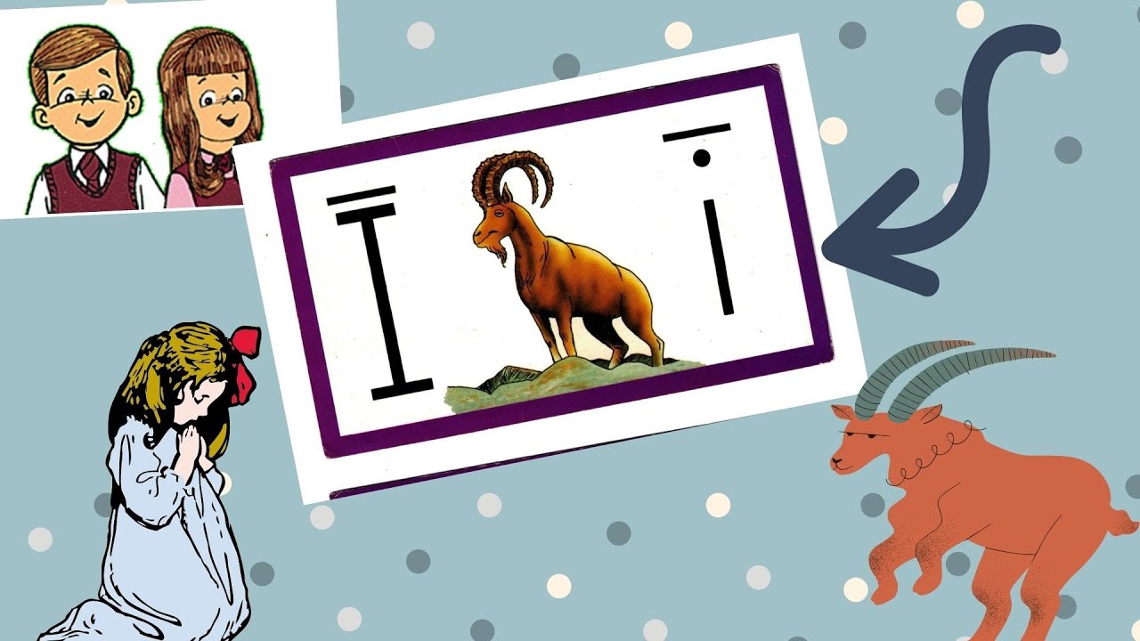 ABC's with Ace and Christi (Ilex Ibex) with Comprehension Questions and Reading Exercises
