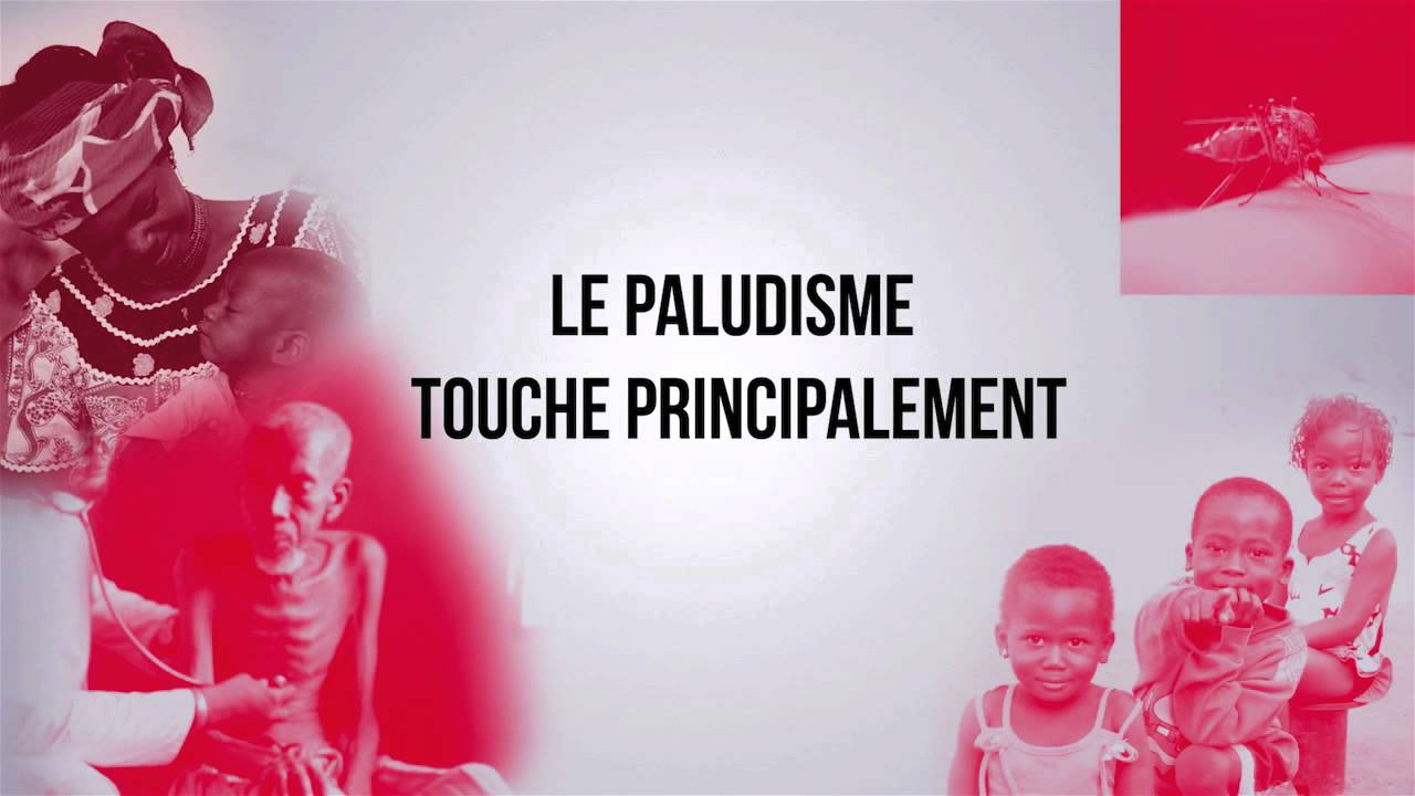 Paludisme 2014