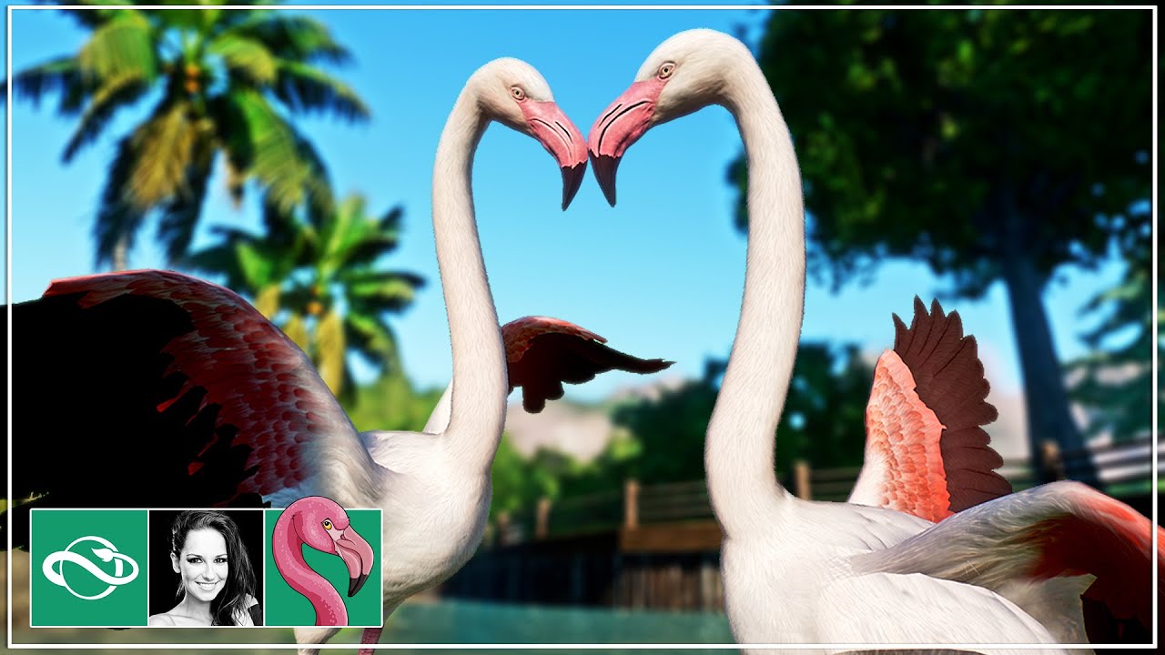 Starting a HUGE Tropical Zoo in Planet Zoo Franchise Mode | Ep. 1