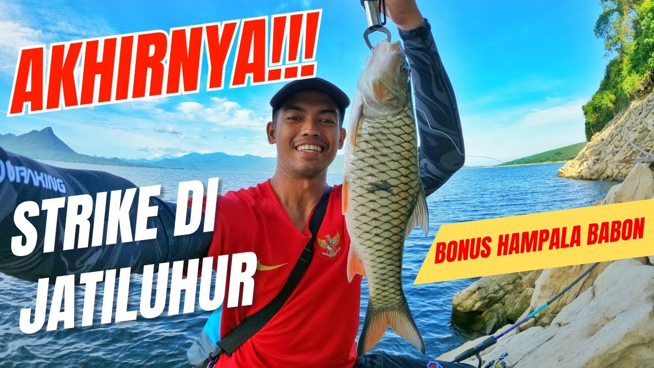 CASTING DI WADUK JATILUHUR TARGET PEACOCK BASS STRIKE HAMPALA BABON