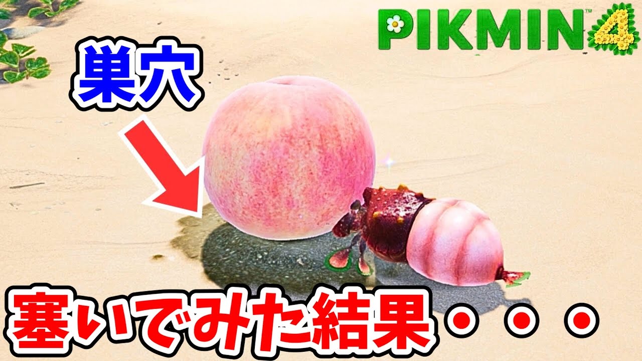 シャコモドキの巣穴を塞いだら帰れなくなるのか？【ピクミン4】