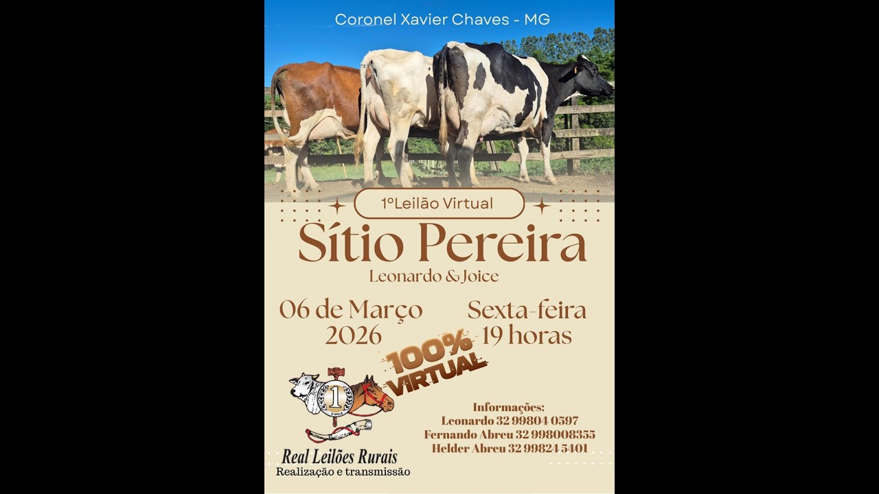 Grande Leilão do Sítio Pereira