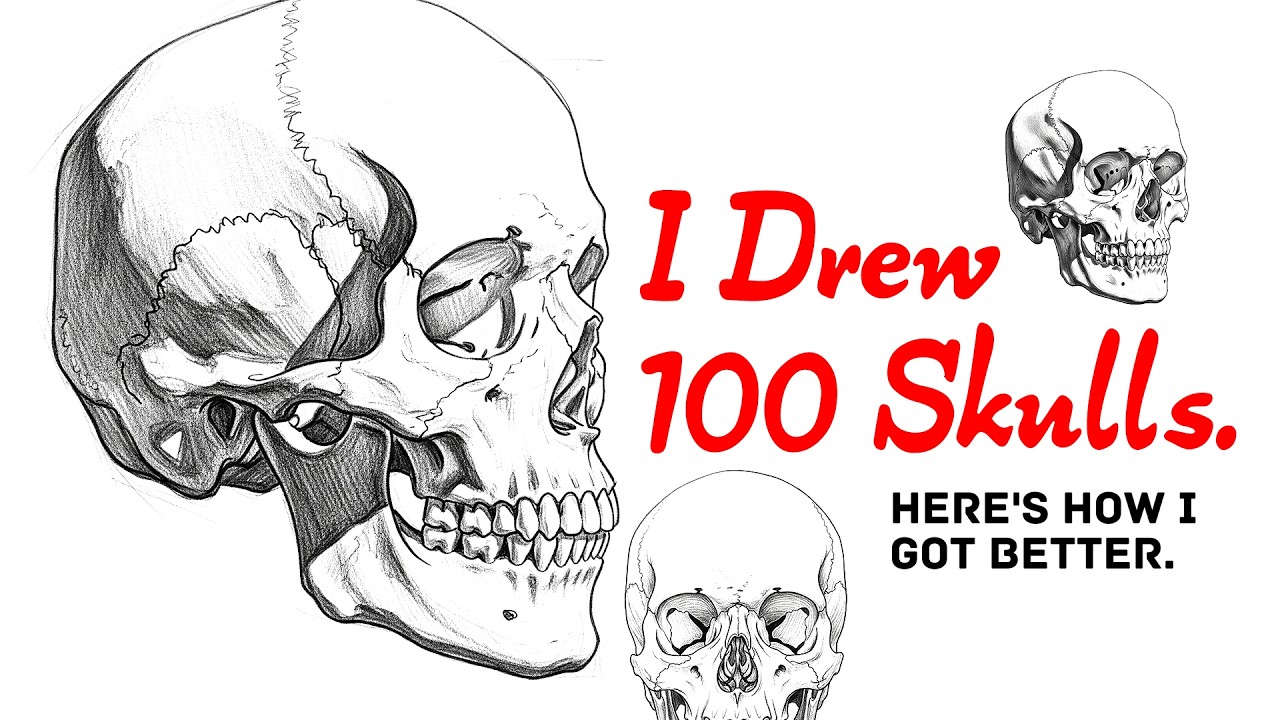 What I Learned from Drawing 100 Skulls with Loomis Method