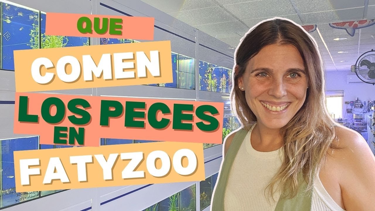 ¿Qué comen los peces en Fatyzoo? Así alimentamos a nuestros peces de tienda