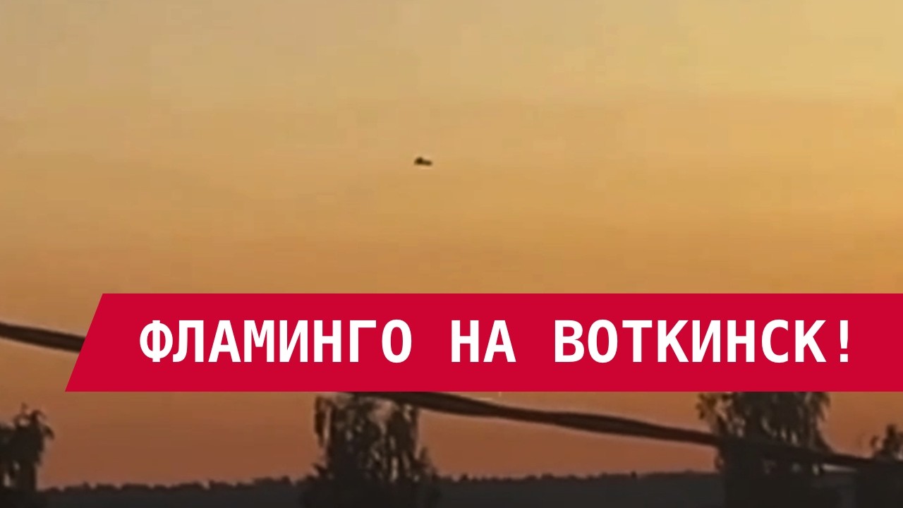 Фламинго запущены по заводу Искандаров: чем всё закончилось?
