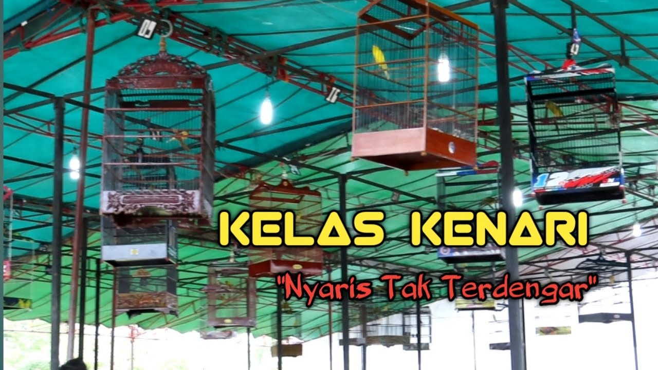 Lomba burung Kenari Radjawali Indonesia Award Palembang