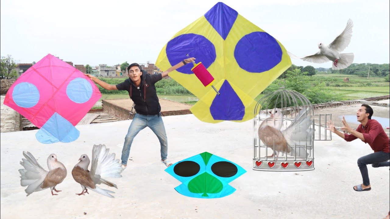 New Kabooter Catch Vs Kite Fight Challenge| Kites