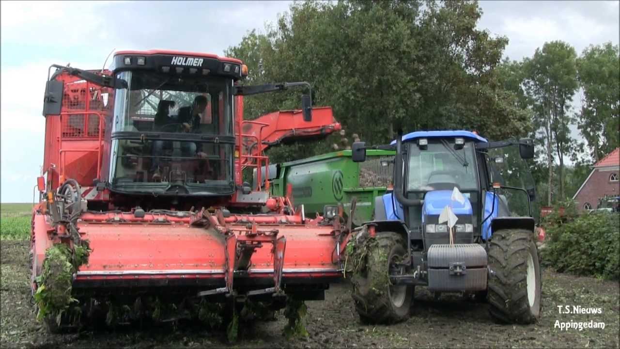 Sugarbeet harvesting Mts.Noordam -Ten Have Borgsweer 2013 * HD *