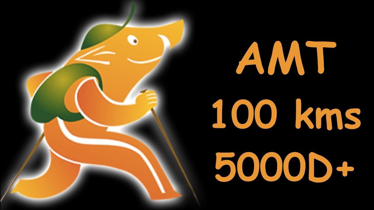 AMT 2019
