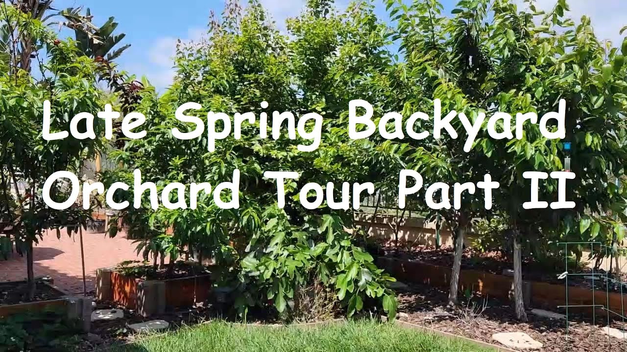 Late Spring Update Tour Pt II -  2023