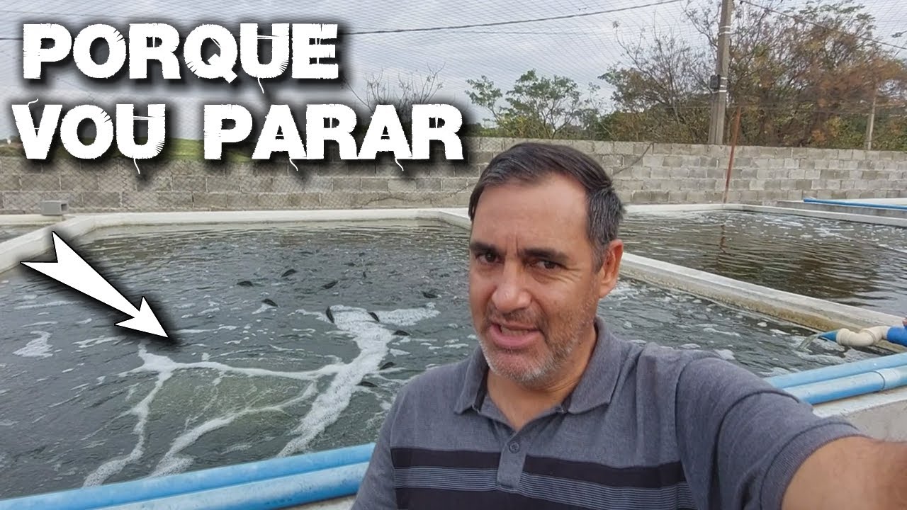 VOU PARAR COM A CRIA&Ccedil;&Atilde;O DE TIL&Aacute;PIAS SAIBA PORQUE canal saalada