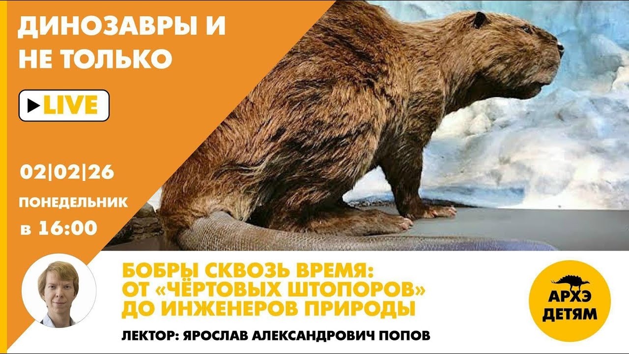 Занятие 