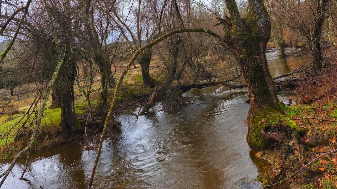 صوت المياه ومناظر ساحرة من قلب❤️الطبيعة🌿تبعث على الاسترخاء #nature #relaxing #travel 