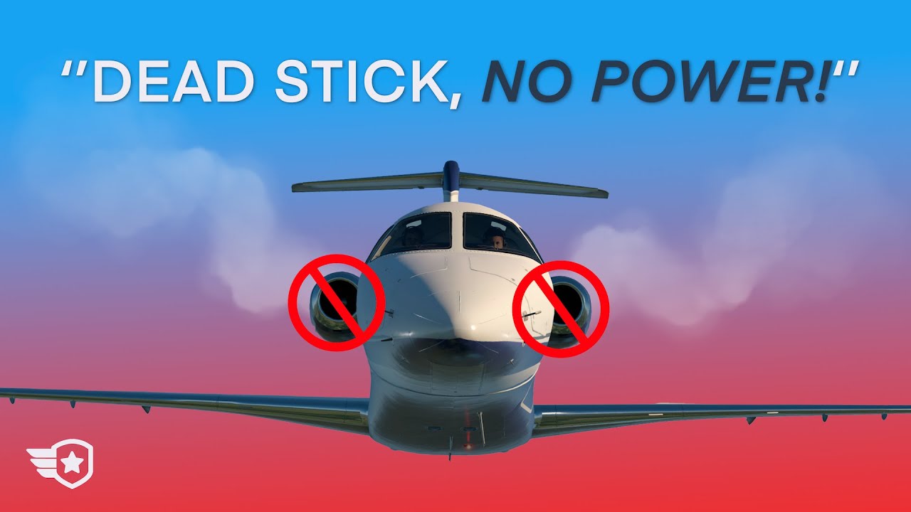 Passenger Causes DUAL ENGINE FAILURE | Accident Case Study