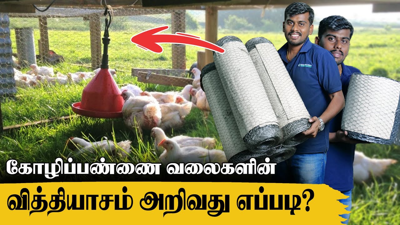 இதை கவனிக்காமல் கோழிப்பண்ணை வலை வாங்கி ஏமாறாதீங்க!!! | How To Buy Chicken Mesh | #chickenfence