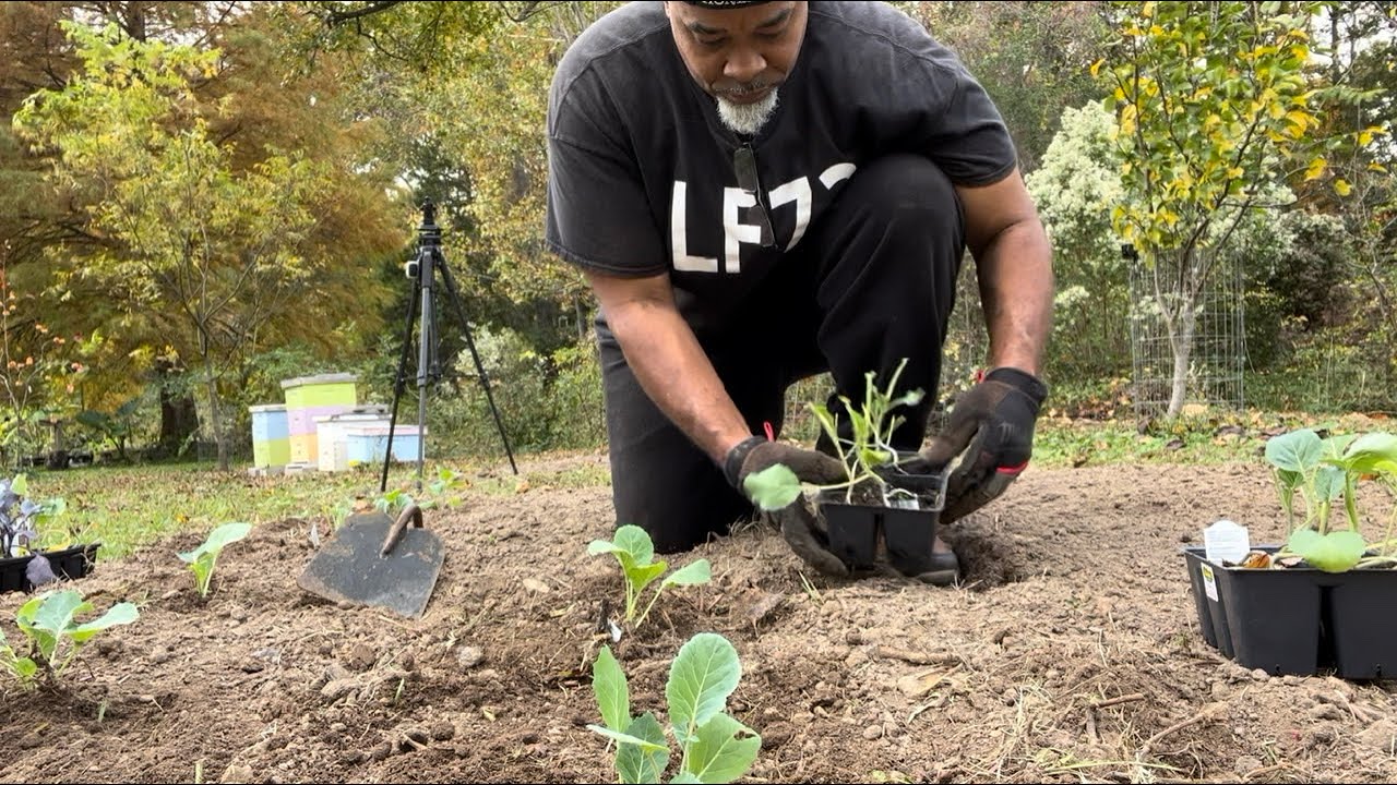 SURVIVAL GARDEN EMERGENCY‼️✌🏽PLANT NOW EAT LATER‼️Motivational