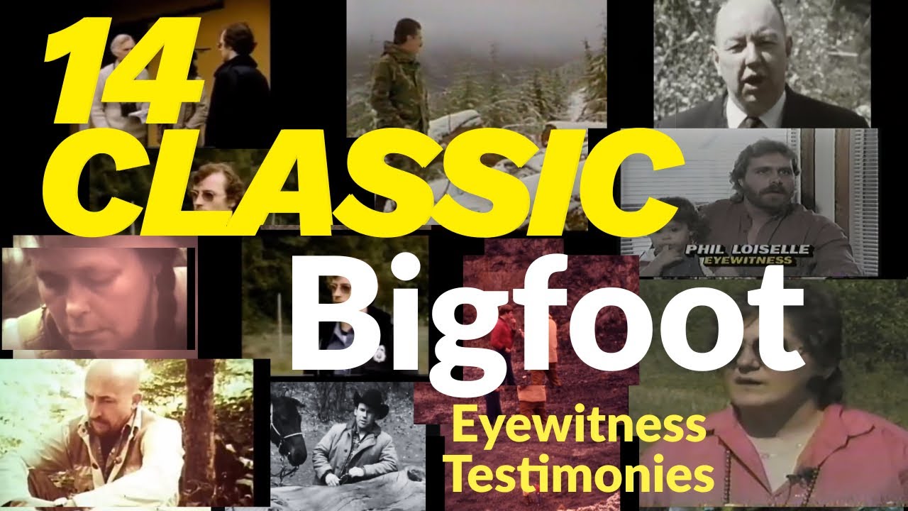 14 CLASSIC Bigfoot/Sasquatch eyewitness Testimonies 