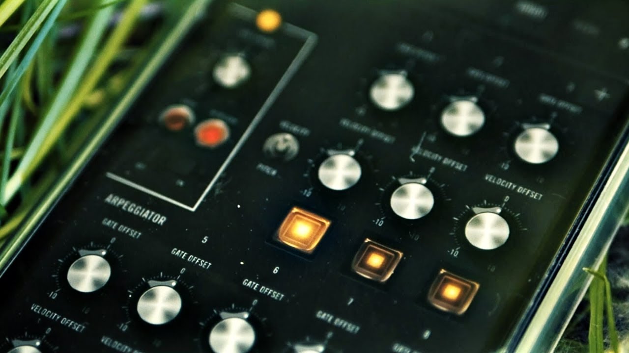 Dark Ambient Electro In The Nature (Xynthesizr + Moog Model 15)