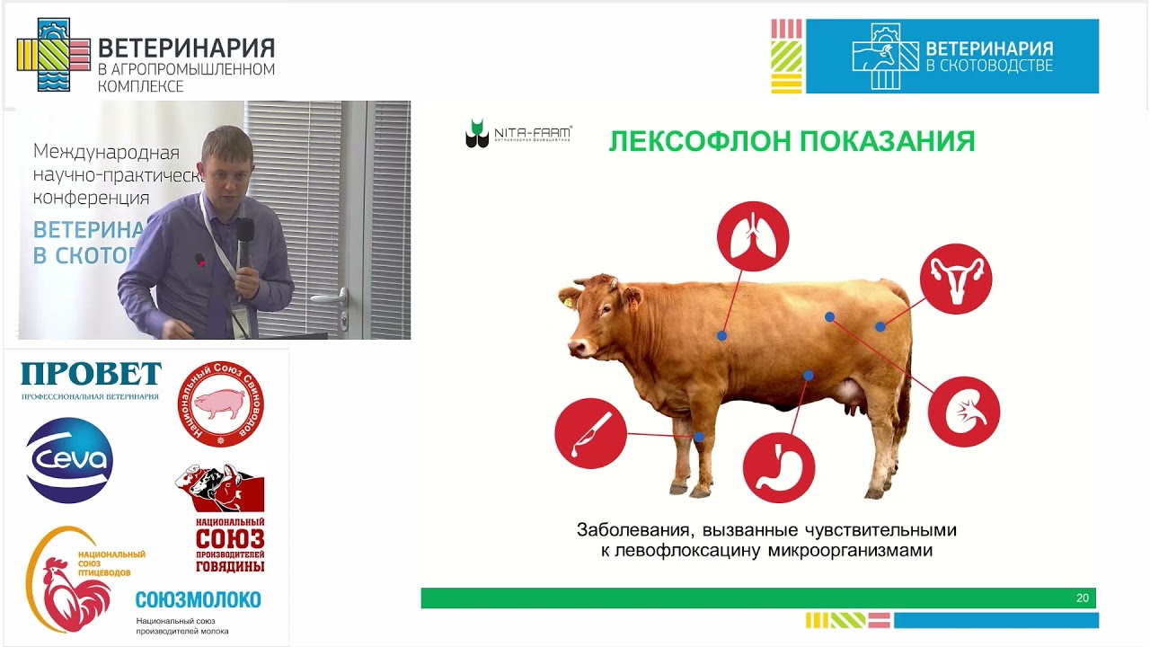 МЕЛЬНИКОВ Е. Е.  Лечение клинического мастита у коров