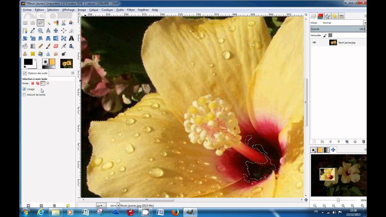 outil d'extraction de premier plan de Gimp