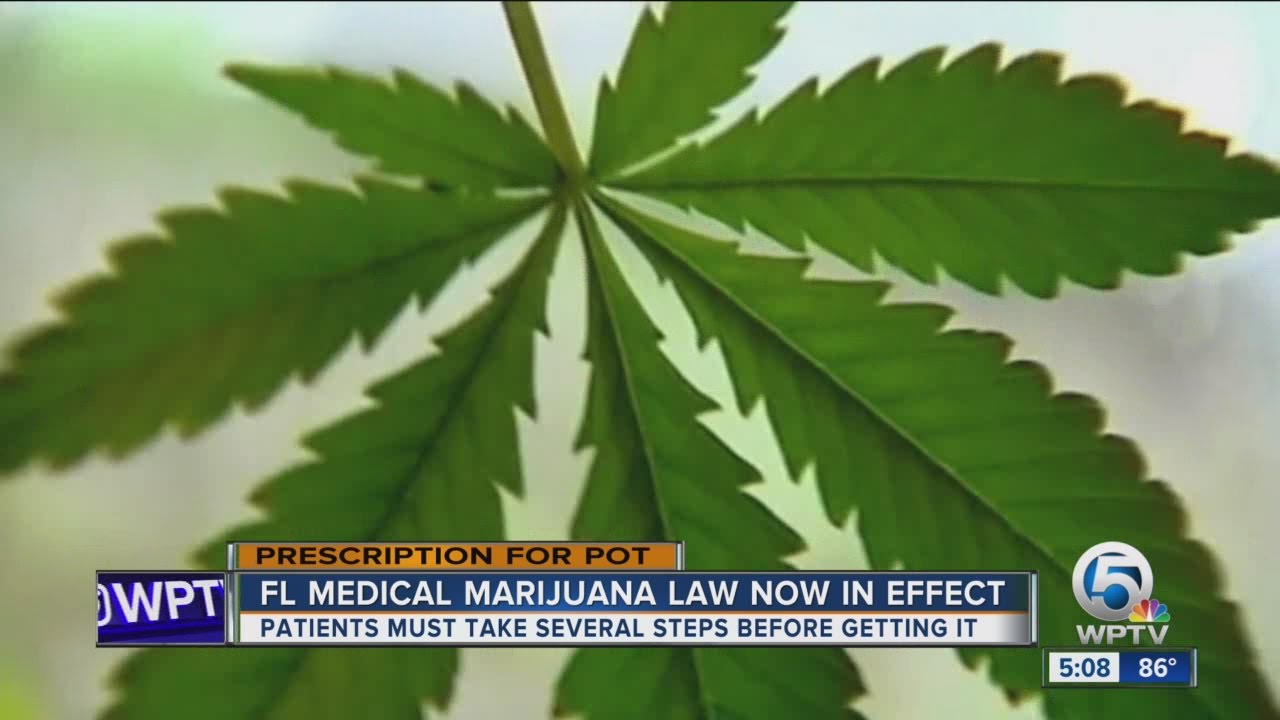 FL medical marijuana law now in effect