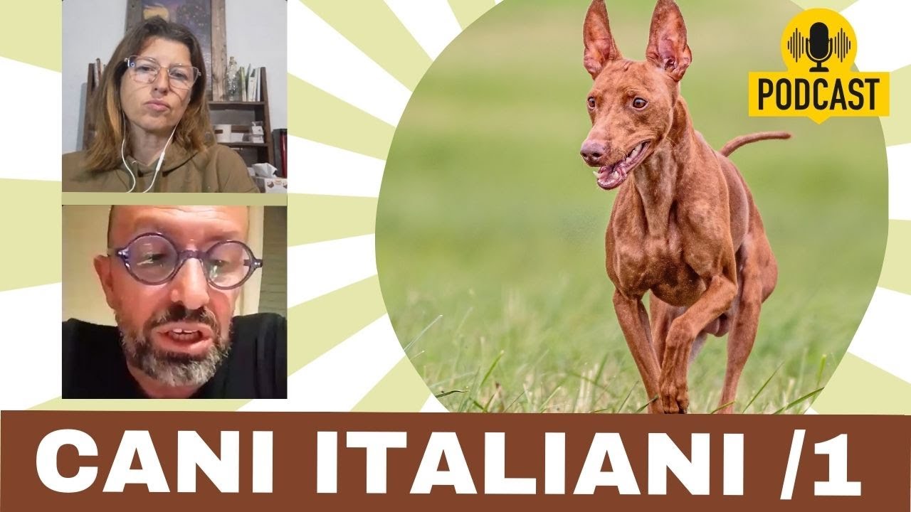 Razze Canine Italiane con Alberto Marengoni: Storia, Curiosità e Benessere | Parte 1"