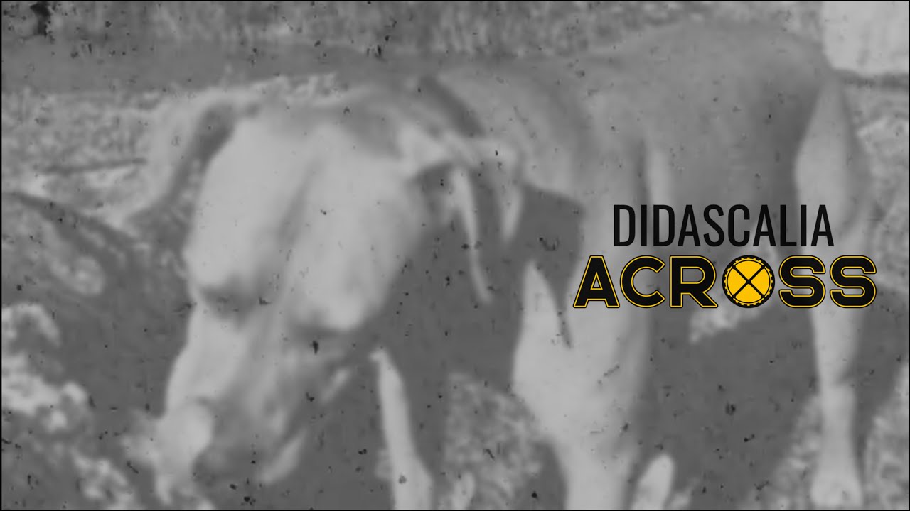ACROSS - DIDASCALIA