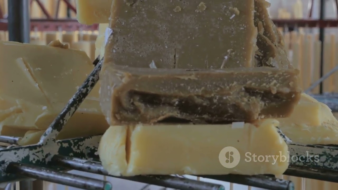 From Hive to Jar: The Sweet Journey of Honey Production￼Knowledge penel