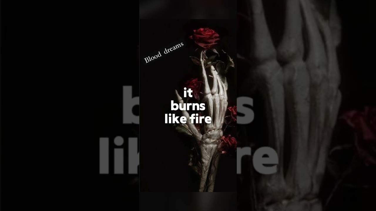 Blood dreams Flaming arrows guitarist version 