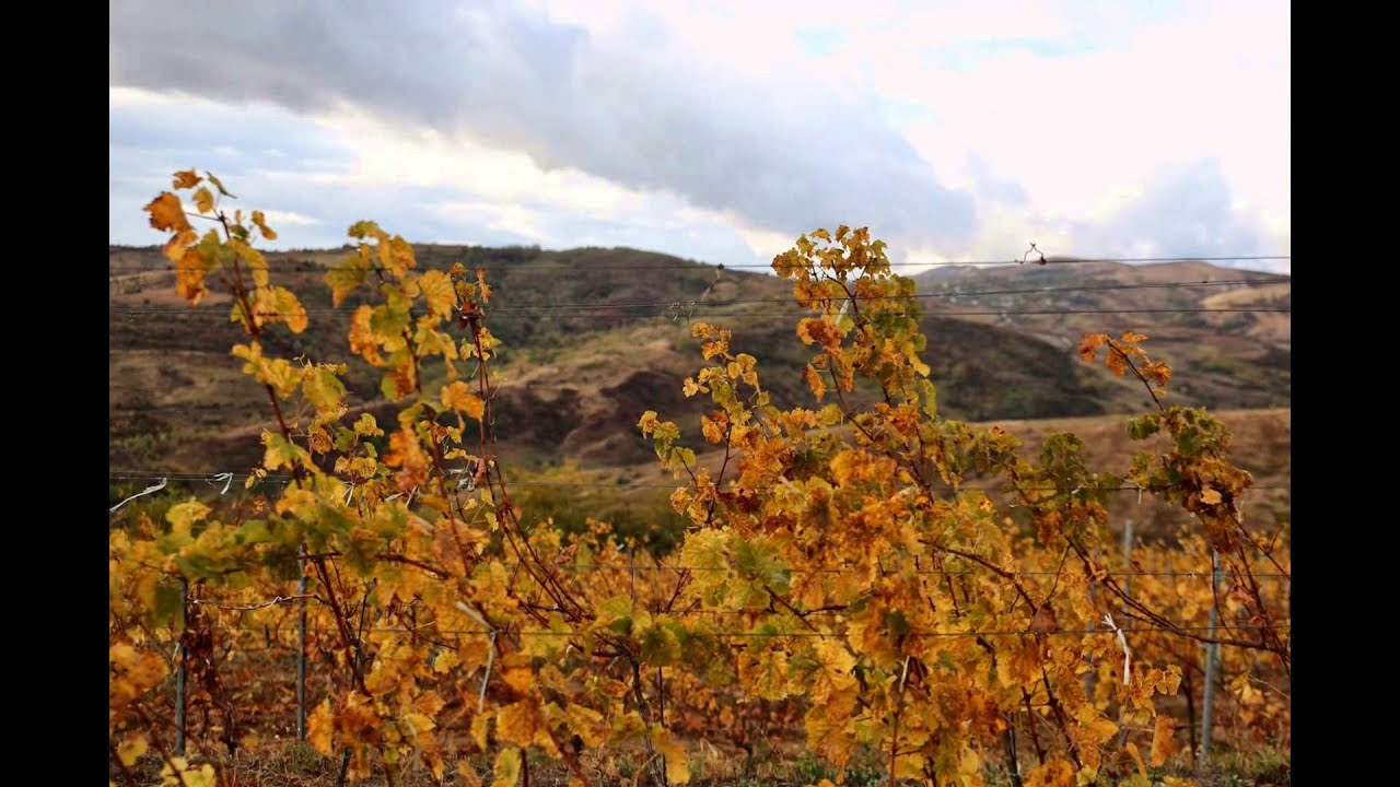 Wine Tourism Romania | CrameRomania. ro & ReVino.ro